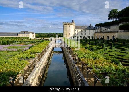 France, Indre et Loire, Vallée de la Loire classée au patrimoine mondial de l'UNESCO, château et jardins de Villandry, construits au 16 ème siècle, dans un style Renaissance Banque D'Images