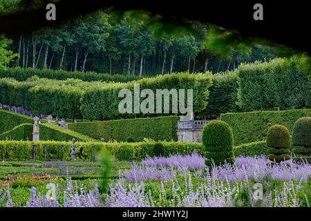 France, Indre et Loire, Vallée de la Loire classée au patrimoine mondial de l'UNESCO, château et jardins de Villandry, construits au 16 ème siècle, dans un style Renaissance Banque D'Images