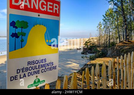 France, Charente-Maritime, la plage d'Embellie, destruction de la forêt par le sel due à l'expansion continue de la mer Banque D'Images