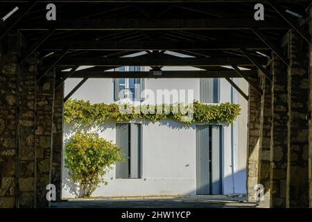 France, Charente-Maritime, Saintonge, Mornac-sur-Seudre, les plus beaux villages de France, marché couvert Banque D'Images