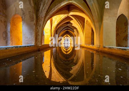 Bäder Baños Doña María de Padilla, Königspalast Alcázar, Sevilla Andalusien, Espagnol | Baños Doña María de Padilla bain, les Alcázars royaux de Seveni Banque D'Images