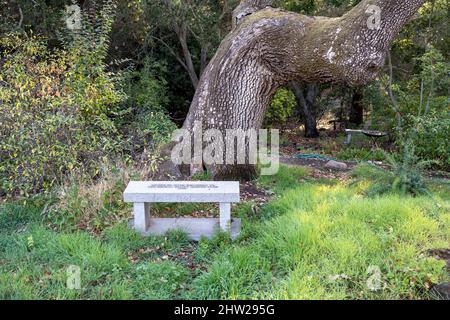 Napa, CA, États-Unis, 19 septembre 2021. Banc au Martha Walker Garden au Skyline Wilderness Park. Banque D'Images