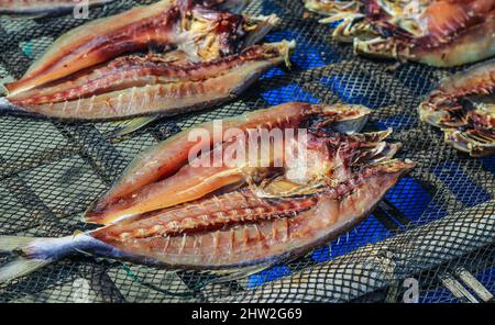 Le poisson est préparé par séchage au soleil pour exportation à l'étranger. Poisson qui est séché au soleil pour être salé et vendu. Banque D'Images