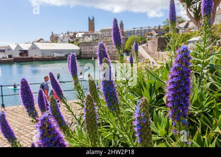 Abbey Basin, le vieux port et le quartier historique de Penzance. Ici, de grands navires ont déjà déchargé des cargaisons d'Europe et des Caraïbes Banque D'Images