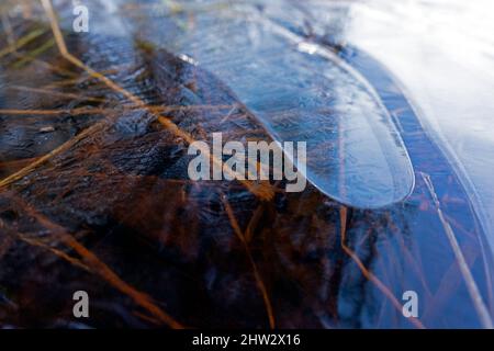 Géométrie de la surface de glace dans les eaux des marais, parc national Kemeri, Lettonie Banque D'Images