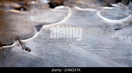 Géométrie de la surface de glace dans les eaux des marais, parc national Kemeri, Lettonie Banque D'Images