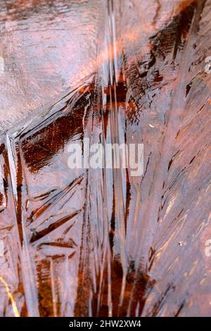 Géométrie de la surface de glace dans les eaux des marais, parc national Kemeri, Lettonie Banque D'Images