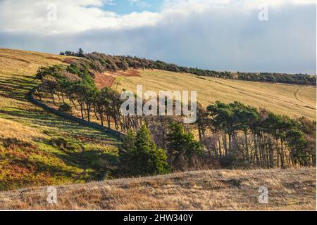 Une promenade à travers les Southern Uplands pour voir les trois frères Banque D'Images