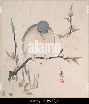 Art inspiré par Spring Rain Collection (Harusame shū), vol. 3: Fleurs de la colombe et de la pêche, 摺物帖 『春雨集』 『花鳥六番之内 下野宇都宮』 桃に山鳩, période Edo (1615–1868), env. 1820, Japon, gravures sur bois publiées en privé (surimono) montées dans un album; encre et couleur sur papier, 8 1/4 x 7 7/16 po. (21 x, œuvres classiques modernisées par Artotop avec une touche de modernité. Formes, couleur et valeur, impact visuel accrocheur sur l'art émotions par la liberté d'œuvres d'art d'une manière contemporaine. Un message intemporel qui cherche une nouvelle direction créative. Artistes qui se tournent vers le support numérique et créent le NFT Artotop Banque D'Images