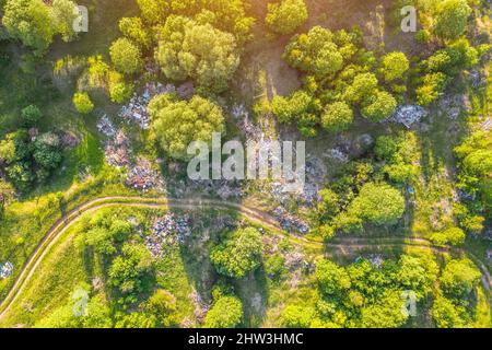 Grande décharge de déchets, déchets ménagers, plastiques et autres choses parmi la forêt verte le long des prés et de la route. Vue aérienne depuis le dessus de la dr Banque D'Images
