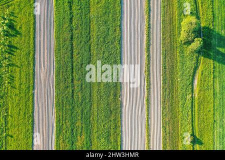 Les terres de labour sillons pour planter les plantes agronomiques parmi la campagne d'herbe et les prés des arbres, vue aérienne d'en haut Banque D'Images