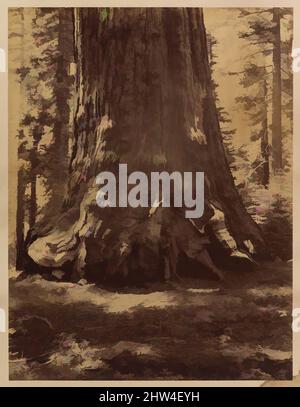 Art inspiré par la section du Grizzly Giant avec Galen Clark, Mariposa Grove, Yosemite, 1865–66, impression argentée d'albumine de verre négatif, image: 20 5/8 × 15 11/16 po. (52,4 × 39,8 cm), photographies, Carleton E. Watkins (américain, 1829–1916, œuvres classiques modernisées par Artotop avec une touche de modernité. Formes, couleur et valeur, impact visuel accrocheur sur l'art émotions par la liberté d'œuvres d'art d'une manière contemporaine. Un message intemporel qui cherche une nouvelle direction créative. Artistes qui se tournent vers le support numérique et créent le NFT Artotop Banque D'Images