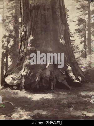 Art inspiré par la section du Grizzly Giant avec Galen Clark, Mariposa Grove, Yosemite, 1865–66, imprimé vers. 1876, impression argentée en verre négatif, 52,2 x 40,6 cm. (20 9/16 x 16 po.), photographies, Carleton E. Watkins (américain, 1829–1916), Watkins a fait son nom avec des vues de, des œuvres classiques modernisées par Artotop avec une touche de modernité. Formes, couleur et valeur, impact visuel accrocheur sur l'art émotions par la liberté d'œuvres d'art d'une manière contemporaine. Un message intemporel qui cherche une nouvelle direction créative. Artistes qui se tournent vers le support numérique et créent le NFT Artotop Banque D'Images