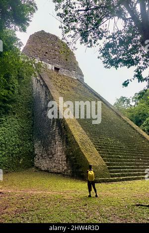 Observation du Temple V au parc national de Tikal, Petén, Guatemala Banque D'Images
