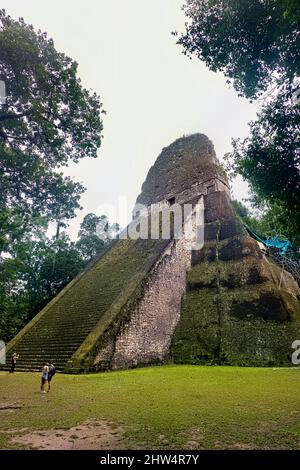 Observation du Temple V au parc national de Tikal, Petén, Guatemala Banque D'Images
