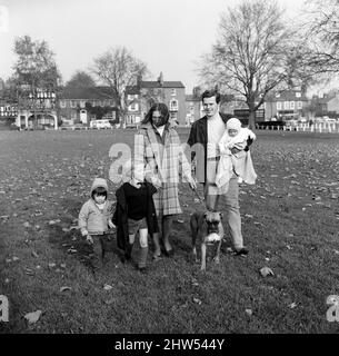 M. James Cellan Jones, qui a dirigé sept épisodes de la saga Forsyte, a photographié sur Kew Green avec sa famille et son chien. Sa femme Margaret est également dans l'entreprise - directeur d'étage - et les enfants, Lavinia, 1, Deiniol, 3, Simon, 5 et Betsy le chien boxeur qui est apparu dans la série. 14th novembre 1968. Banque D'Images