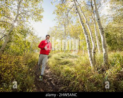 Homme jogging dans la forêt par beau temps Banque D'Images