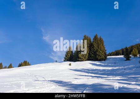 Cette photo de paysage a été prise en Europe, en France, en Rhône-Alpes, en Savoie, dans les Alpes, en hiver. Nous voyons quelques arbres sur un sommet du Mont blanc Banque D'Images