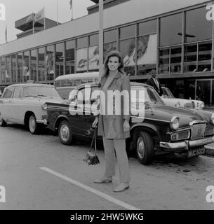 Raquel Welch est arrivé à l'aéroport d'Heathrow, Londres, ce matin, samedi 3rd juin 1967, pour jouer le rôle de 'Lust' dans un nouveau film intitulé 'Bedazzled' avec Peter Cook, Dudley Moore et Eleanor Bron. Raquel joue le rôle de l'un des sept péchés mortels, et le film est tiré d'une histoire originale de 'Dud' et 'Pete'. Mlle Welch est arrivée de Los Angeles, via Francfort, et le trajet a pris 18 heures, en raison du brouillard matinal au-dessus de Londres. Au début, elle a refusé de retirer ses lunettes de soleil parce que « Je regarde si horrible », mais après 15 minutes chez les « dames », elle a émergé et « Wow!!! » Photo prise 3rd Ju Banque D'Images