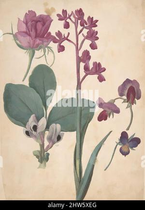 Art inspiré par Une feuille d'études des fleurs : une Rose, un Heartsease, un Pea doux, un Pea de jardin, et une orchidée à fleurs lax, 16th siècle, aquarelle et gouache, sur craie noire, 8 5/16 x 5 7/8 po. (21,1 x 15 cm), dessins, Jacques le Moyne de morgues (français, Dieppe ca. 1533–1588, œuvres classiques modernisées par Artotop avec une touche de modernité. Formes, couleur et valeur, impact visuel accrocheur sur l'art émotions par la liberté d'œuvres d'art d'une manière contemporaine. Un message intemporel qui cherche une nouvelle direction créative. Artistes qui se tournent vers le support numérique et créent le NFT Artotop Banque D'Images