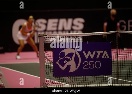 Illustration logo WTA 250 lors de l'Open 6e sens, Métropole de Lyon 2022, tournoi de tennis WTA 250 le 3 mars 2022 au Palais des Sports de Gerland à Lyon, France - photo Romain Biard / Isports / DPPI Banque D'Images