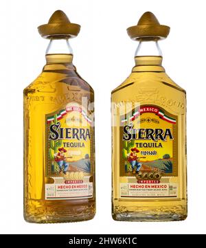 Bouteille de Tequila Mexican Sierra Gold isolée sur fond blanc. Banque D'Images