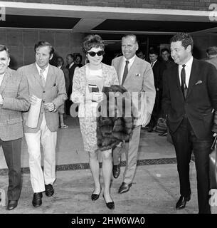 L'actrice Shirley MacLaine arrive à l'aéroport d'Heathrow pour prendre un avion pour Nice. 13th mai 1967. Banque D'Images