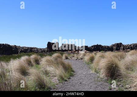 Vue panoramique sur les arbustes et les plantes contre la plage rocheuse de Bombo et le paysage marin bleu à Kiama, en Australie Banque D'Images