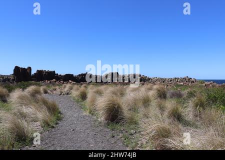 Vue panoramique sur les arbustes et les plantes contre la plage rocheuse de Bombo et le paysage marin bleu à Kiama, en Australie Banque D'Images