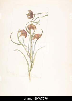 Art inspiré par Bronze Bells, Fritilaria atropurpurea, 2 mai 1912, aquarelle et encre brune sur graphite, avec dessin de page indiqué en graphite, feuille: 13 11/16 x 9 15/16 po. (34,8 x 25,2 cm), dessins, Margaret Neilson Armstrong (américaine, New York 1867–1944 New York, œuvres classiques modernisées par Artotop avec une touche de modernité. Formes, couleur et valeur, impact visuel accrocheur sur l'art émotions par la liberté d'œuvres d'art d'une manière contemporaine. Un message intemporel qui cherche une nouvelle direction créative. Artistes qui se tournent vers le support numérique et créent le NFT Artotop Banque D'Images