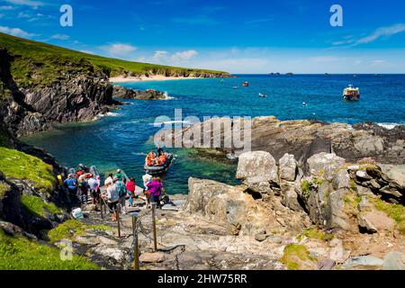 Great Blasket Island, Dingle, Comté, Kerry, Irlande Banque D'Images