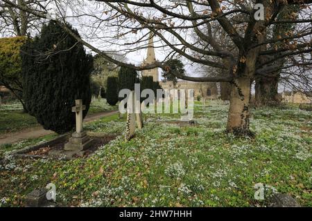 Snowdrop et Aconite fleurissent à l'église St Michael et All Angels, village d'Uffington, Lincolnshire, Angleterre, Royaume-Uni Banque D'Images