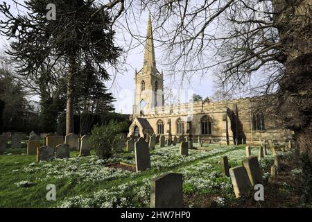 Snowdrop et Aconite fleurissent à l'église St Michael et All Angels, village d'Uffington, Lincolnshire, Angleterre, Royaume-Uni Banque D'Images