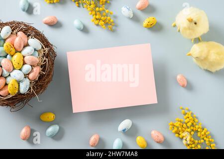 Poussins jaunes de Pâques, œufs au chocolat, fleurs mimosa sur fond bleu. Carte de vœux Spring avec espace de copie. Vue de dessus. Pose à plat. Banque D'Images