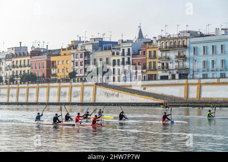 Kayaks auf dem Fluss Guadalquivir vor dem Ufer des Stadtviertel Triana, Sevilla, Andalusien, Espagnol | kayaks sur le fleuve Guadalquivir et le Tri Banque D'Images