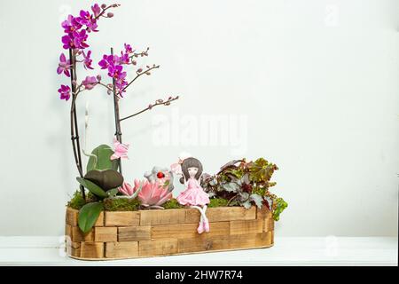 Arrangement de fleurs avec des orchidées, plante succulente, mousse, et une petite poupée mignonne. Banque D'Images