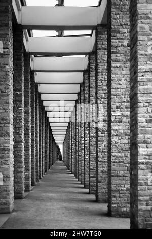 Plan vertical d'un couloir avec colonnes - en niveaux de gris Banque D'Images