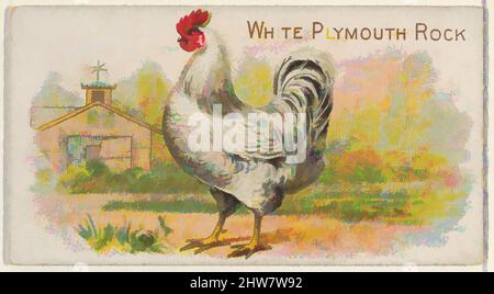 Art inspiré par White Plymouth Rock, de la série Prize and Game Chiles (N20) pour Allen & Ginter cigarettes, 1891, lithographie couleur commerciale, feuille : 1 1/2 x 2 3/4 po. (3,8 x 7 cm), cartes professionnelles de la série "Prize and Game Chiles" (N20), émises en 1891 dans un ensemble de 50 cartes, œuvres classiques modernisées par Artotop avec un peu de modernité. Formes, couleur et valeur, impact visuel accrocheur sur l'art émotions par la liberté d'œuvres d'art d'une manière contemporaine. Un message intemporel qui cherche une nouvelle direction créative. Artistes qui se tournent vers le support numérique et créent le NFT Artotop Banque D'Images