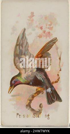 Art inspiré par Persian Starling, de la série Song Birds of the World (N23) pour cigarettes Allen & Ginter, 1890, lithographie couleur commerciale, feuille : 2 3/4 x 1 1/2 po. (7 x 3,8 cm), cartes professionnelles de la série « Mong Birds of the World » (N23), émises en 1890 dans un jeu de 50 cartes à, œuvres classiques modernisées par Artotop avec un peu de modernité. Formes, couleur et valeur, impact visuel accrocheur sur l'art émotions par la liberté d'œuvres d'art d'une manière contemporaine. Un message intemporel qui cherche une nouvelle direction créative. Artistes qui se tournent vers le support numérique et créent le NFT Artotop Banque D'Images