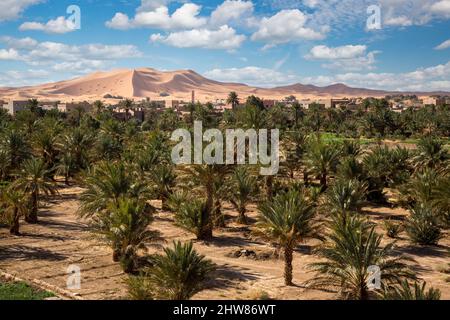 Merzouga, Maroc. Dattiers en premier plan, ses dunes de sable à l'arrière. Banque D'Images