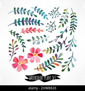 Ensemble de vecteurs aquarelles avec feuilles et fleurs. Illustration dessinée à la main Illustration de Vecteur
