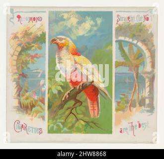 Art inspiré par la Nouvelle-Zélande Parrot, de la série Birds of the Tropics (N38) pour cigarettes Allen & Ginter, 1889, lithographie couleur commerciale, feuille : 2 7/8 x 3 1/4 po. (7,3 x 8,3 cm), cartes professionnelles de la série "oiseaux des Tropiques" (N38), émises en 1889 dans un ensemble de 50 cartes à promouvoir, oeuvres classiques modernisées par Artotop avec un peu de modernité. Formes, couleur et valeur, impact visuel accrocheur sur l'art émotions par la liberté d'œuvres d'art d'une manière contemporaine. Un message intemporel qui cherche une nouvelle direction créative. Artistes qui se tournent vers le support numérique et créent le NFT Artotop Banque D'Images