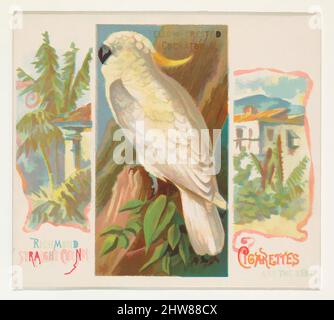 Art inspiré par Yellow-Crested Cockatoo, de la série Birds of the Tropics (N38) pour Allen & Ginter cigarettes, 1889, lithographie couleur commerciale, feuille : 2 7/8 x 3 1/4 po. (7,3 x 8,3 cm), cartes professionnelles de la série "oiseaux des Tropiques" (N38), émises en 1889 dans un ensemble de 50 cartes à, oeuvres classiques modernisées par Artotop avec un peu de modernité. Formes, couleur et valeur, impact visuel accrocheur sur l'art émotions par la liberté d'œuvres d'art d'une manière contemporaine. Un message intemporel qui cherche une nouvelle direction créative. Artistes qui se tournent vers le support numérique et créent le NFT Artotop Banque D'Images