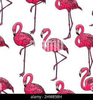Joli fond sans couture de flamants roses. Illustration dessinée à la main Illustration de Vecteur