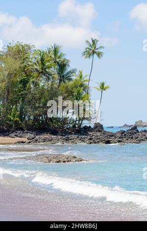 Plage rocheuse bordée de palmiers dans le parc national du Corcovado, péninsule d'Osa, Costa Rica, Amérique centrale Banque D'Images