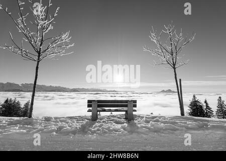 Hiver dans les montagnes en noir et blanc. Nuages sous le pied. Le soleil brille dans le ciel. Banc de repos. Riga. Suisse. Banque D'Images