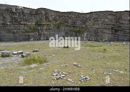 Dans la Grande Orme, pays de Galles, août 2021. Banque D'Images