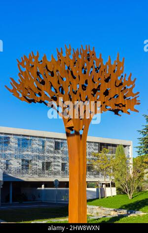 Arbre stylisé, évoquant un pin parapluie, en acier corten et jusqu'à 6 mètres de haut. Siège social du département de Herault 'Alco 2'. Oeuvre de l'artiste plastique Jordi. Montpellier, Occitanie, France Banque D'Images