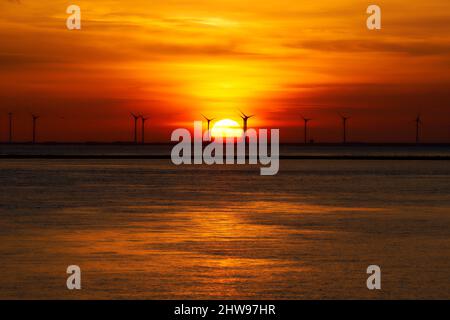 Parc éolien offshore sur la mer.Éoliennes en fin de soirée au coucher du soleil.Pays-Bas, près du pont Zeeland. Banque D'Images