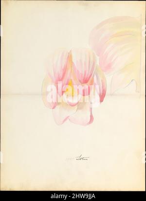 Art inspiré par le dessin de conception de la fleur de lotus de la capitale florale de loggia, Laurelton Hall, ca. 1900–1915, américain, aquarelle, graphite et encre sur papier, 18 3/8 x 14 po. (46,7 x 35,6 cm), dessins, Lenox, Incorporated (établi en 1889, oeuvres classiques modernisées par Artotop avec une touche de modernité. Formes, couleur et valeur, impact visuel accrocheur sur l'art émotions par la liberté d'œuvres d'art d'une manière contemporaine. Un message intemporel qui cherche une nouvelle direction créative. Artistes qui se tournent vers le support numérique et créent le NFT Artotop Banque D'Images